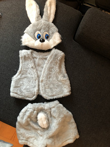 Karnevalikostüüm poisile *halljänes* (1 foto / 1)
