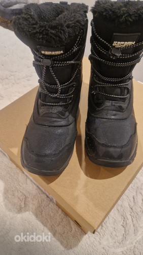 Icepeak 39