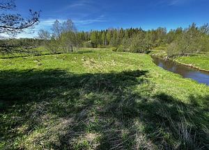 Maretsaare, Kõveriku, Mustvee vald, Jõgevamaa (1 фото из 10)
