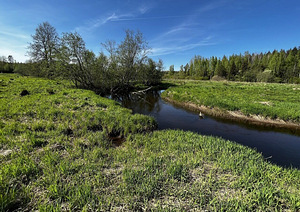 Maretsaare, Kõveriku, Mustvee vald, Jõgevamaa (5 фото из 10)