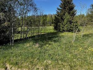 Maretsaare, Kõveriku, Mustvee vald, Jõgevamaa (8 фото из 10)