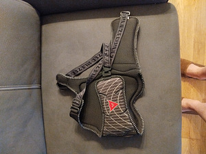 Mototatturi rinnakaitse "DAINESE" Suurus M (1 foto / 3)