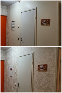 Maaler (3 foto / 7)