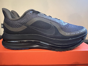 Nike Pegasus Premium uued meeste tossud,41 (3 foto / 10)