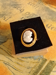 CAMEE SORMUS KULLATTUA MESSINKIÄ (1 valokuva sivusta 3)