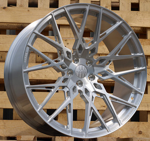 R21x9.5  5X112  ET  25  66.6  HXF03  Brush Silver (BS)  For HAXER  (K3)  (FORGED  (NEW Model)) (1 foto / 1)