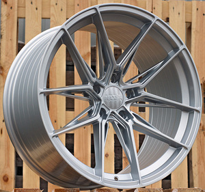 R20x10.5  5X120  ET  38  72.6  HX036  Silver Shining (SS)  For HAXER  (K4)  (Rear+Front) (1 foto / 1)