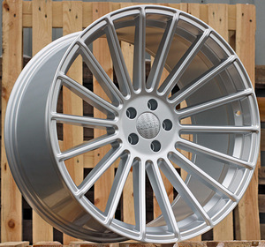 R21x9  5X112  ET  30  66.6  HX010  Silver Shining (SS)  For HAXER  (Z2)  (Rear+Front) (1 foto / 1)