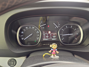 Müün Peugeot Traveller 2018 1,6 85 kw (4 foto / 8)