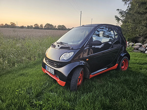 Smart fortwo кабриолет (2 фото из 9)