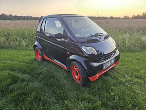 Smart fortwo кабриолет (4 фото из 9)