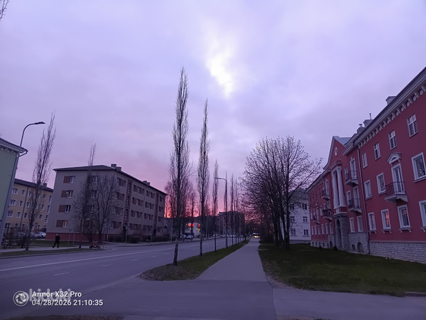 Выгул собак, по району копли