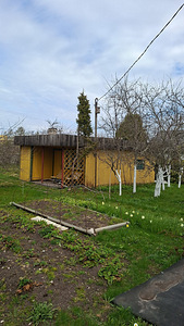 Terase tn 37, Jõhvi, Jõhvi vald, Ida-Virumaa (1 фото из 28)