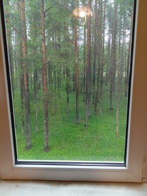 Viru tn, Püssi, Lüganuse vald, Ida-Virumaa