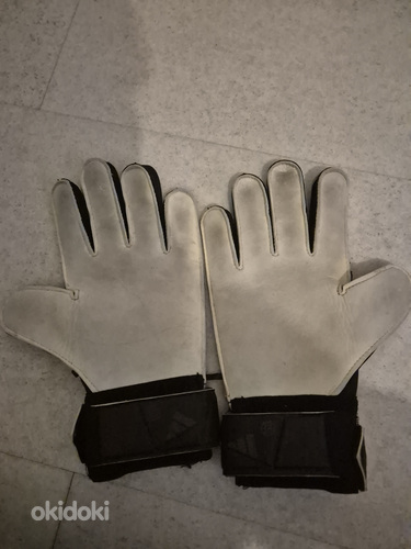 Müüa adidas predator kindad
