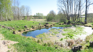 Karste, Kanepi vald, Põlvamaa (2 foto / 49)