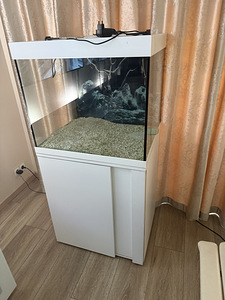 Аквариум (2 фото из 3)