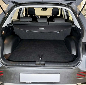 Hyundai IONIQ 5 (10 foto / 15)