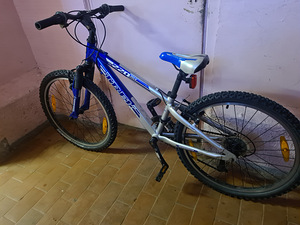 Lasteratas Classic ja Trek (5 foto / 5)
