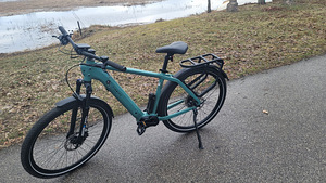 Elektrijalgras Tenways CGO600 Electric Bike 250W L raam 29" (3 foto / 6)