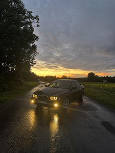 BMW E39 520i 2002 (2 фото из 11)