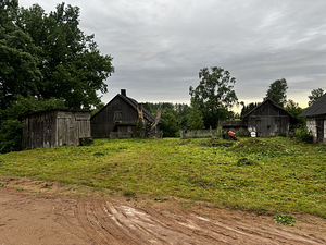 Kullerkupu tn, Tammiste, Tori vald, Pärnumaa (4 foto / 8)