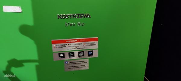 Kosterzewa mini bio
