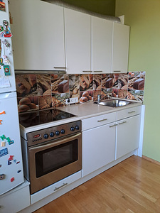 Köögimööbel koos tehnikaga (1 foto / 4)