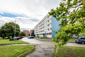 Mõisavahe tn 14, Annelinna, Tartu, Tartumaa (23 foto / 26)