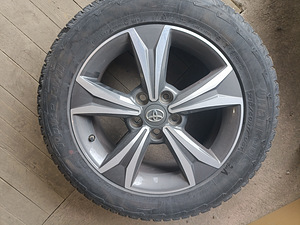 Диски литые оригинал с шипованной резиной для Toyota CHR (5 фото из 10)