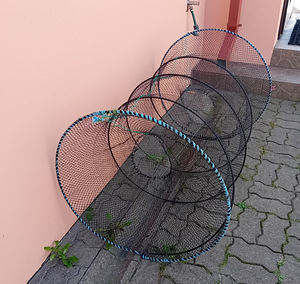Kadiska (2 foto / 2)
