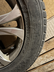 Talverehvid Nokian 205/55 R16 (5 foto / 6)