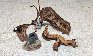 Akvaariumi juurte komplekt (1 foto / 1)