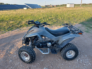 Dinli 801 300cc ATV Quad (4 foto / 9)