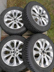 Kia talverehvid koos velgedega (1 foto / 3)
