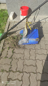 Sambla ja muru puhastamine sillutusplaatide vahedest (5 foto / 10)