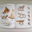 Loomariigi illustreeritud entsüklopeedia (foto #5)