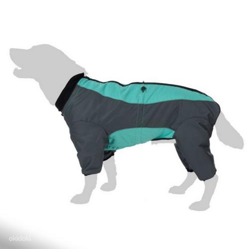 Новый комбинезон для собак мятного цвета, 35 см, waterproof. (фото #1)