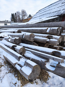 Palkmaja (5 foto / 5)