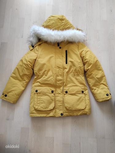 Зимняя куртка Reserved / Talve jope Reserved (фото #1)