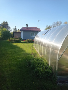 Martsaranna AÜ 30, Martsa, Toila vald, Ida-Virumaa (7 foto / 9)