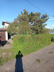 Martsaranna AÜ 30, Martsa, Toila vald, Ida-Virumaa (9 foto / 9)