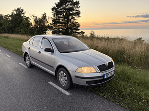 Skoda Octavia (3 foto / 8)
