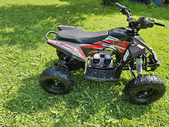 Электрический ATV 1000w