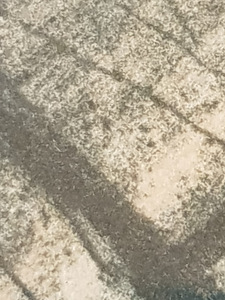 Ilus suur litografia raamis. Vaata pilte. (8 foto / 9)