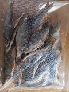 Сушёная рыбка (2 фото из 3)
