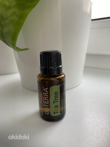 Doterra eeterlik õli Tea Tree