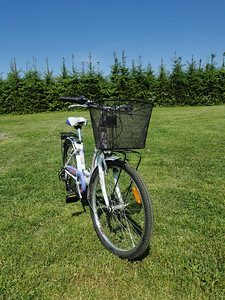 Детский велосипед Bottecchia 24" (3 фото из 8)