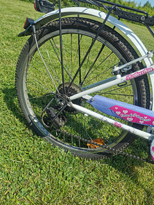 Детский велосипед Bottecchia 24" (6 фото из 8)