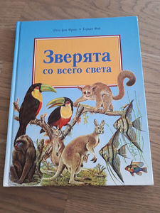 Зверята со всего света (1 фото из 3)